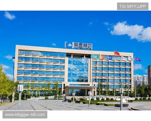 凯发集团官网首页网址官方入口查询，快速找到官网首页的便捷途径